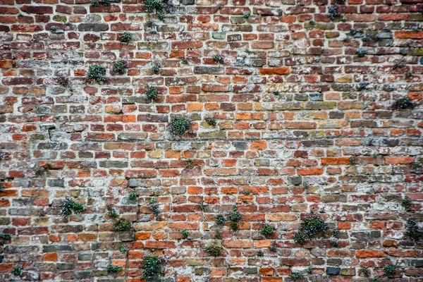 古いレンガの壁空のグランジ都市通り カラフルなレンガの壁 — ストック写真