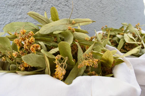 Fresh Flowers Leaves Linden Herbal Medicine Cup Healthy Linden Tea — Stock Photo, Image