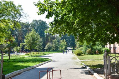 doğada yürümek. yeşil doğada ağaçlı ve yem