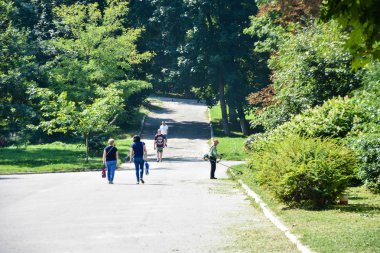 doğada yürümek. yeşil doğada ağaçlı ve yem