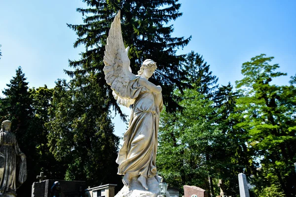 Estatua Ángel Sobre Fondo Árbol — Foto de Stock