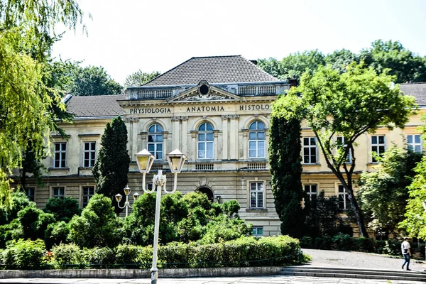 Lviv Ucrania 2019 Danylo Halytsky Universidad Nacional Medicina Lviv —  Fotos de Stock