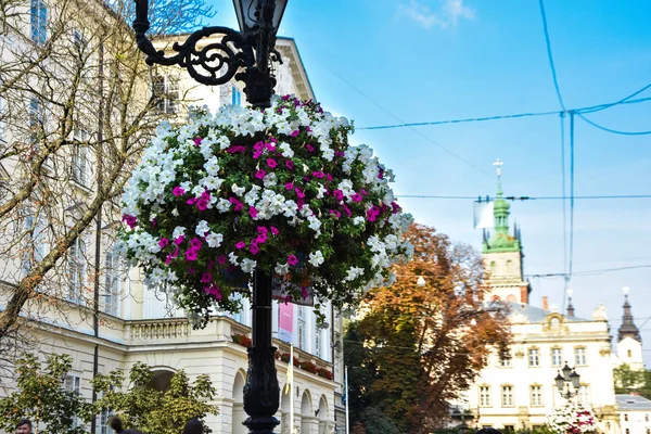 Lviv Ucrania 2019 Plaza Del Mercado Lviv Rynok Plaza Del —  Fotos de Stock