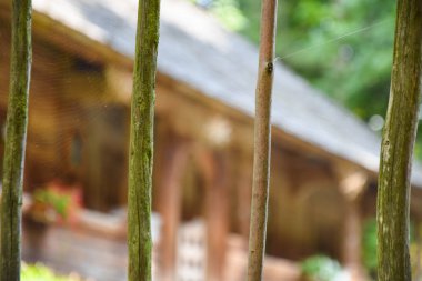 Lviv / Ukrayna - 08 09 2019Halk Mimarisi ve Yaşam Müzesi