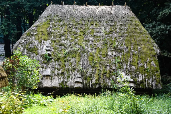 Lviv Oekraïne 2019Museum Voor Volksarchitectuur Leven — Stockfoto