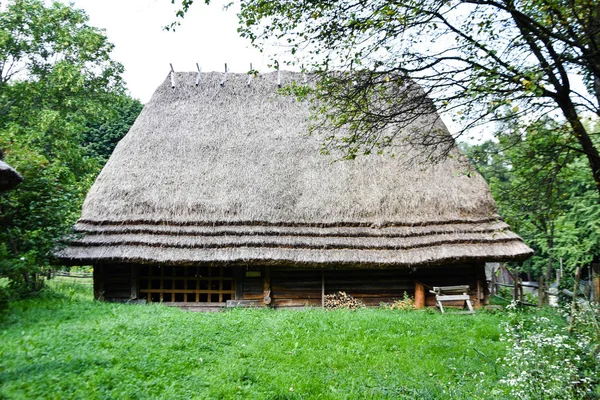 Lviv Ucrânia 2019Museu Arquitetura Folclórica Vida — Fotografia de Stock