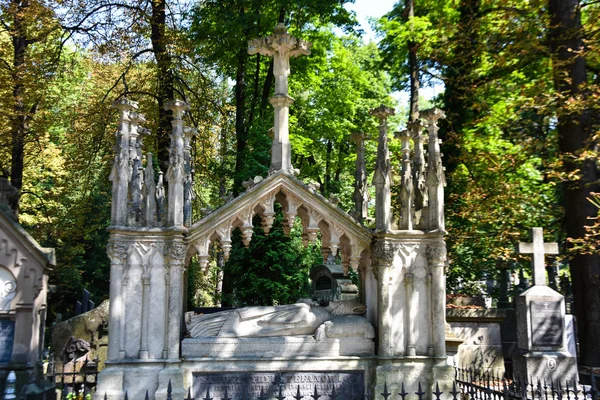 Lviv Ucrania 2019 Cementerio Lviv Lychakiv — Foto de Stock