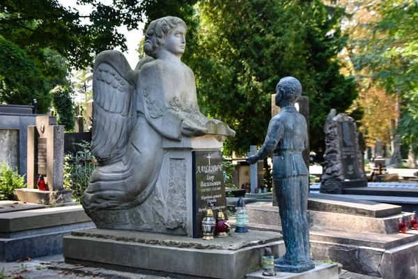 Lviv Ucrania 2019 Cementerio Lviv Lychakiv — Foto de Stock