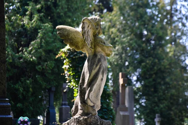 Statue Ange Cimetière Croyances Religieuses — Photo