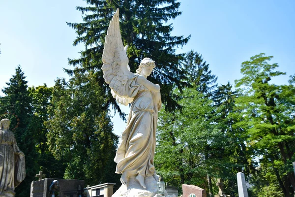 Estátua Anjo Cemitério Crenças Religiosas — Fotografia de Stock
