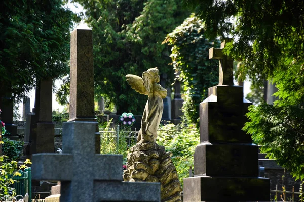 Estátua Anjo Cemitério Crenças Religiosas — Fotografia de Stock