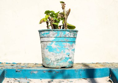 Deforme olmuş eski saksılar, antika eşyalar..