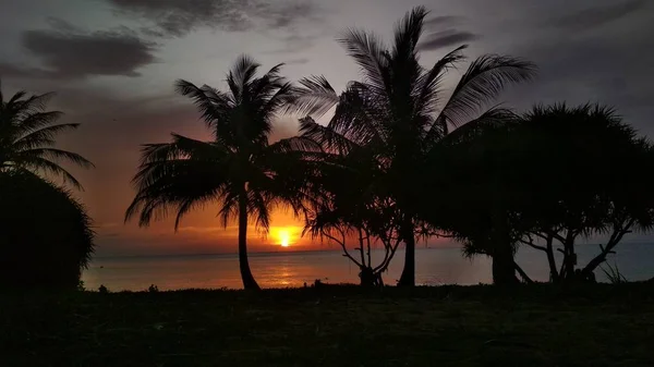 Gün batımında palmiye ağaçları siluet Kata Beach Phuket, Tayland.
