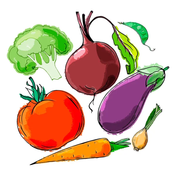 Ein Gezeichnetes Gemüseset Mit Einer Tomate Farbe Auf Weißem Hintergrund — Stockvektor