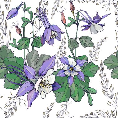 Beyaz bir arka plan üzerinde Aquilegia çiçekleri ile dikişsiz arka plan. Aquilegia bitkileri çiçek, tomurcuk ve yaprak içerir.