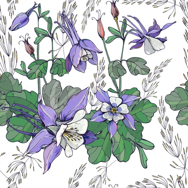 Beyaz bir arka plan üzerinde Aquilegia çiçekleri ile dikişsiz arka plan. Aquilegia bitkileri çiçek, tomurcuk ve yaprak içerir.