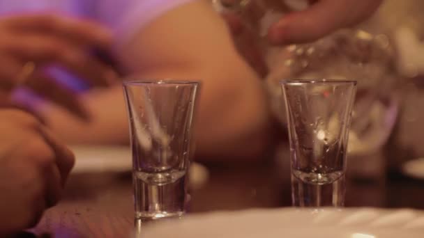 Boire des verres de vodka Vidéo De Stock Libre De Droits