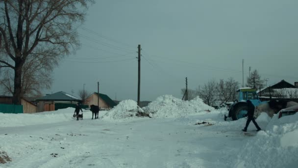 Dans le village de chevaux de plomb Vidéo De Stock Libre De Droits