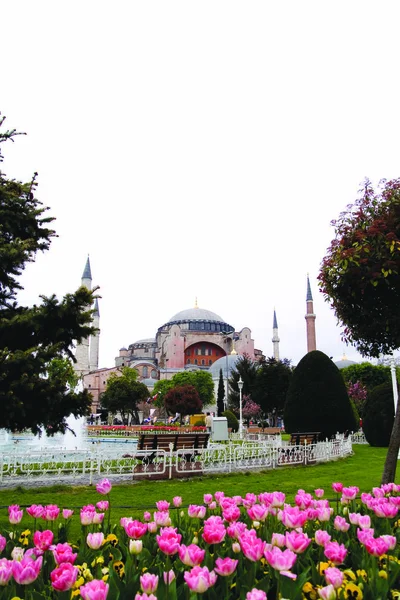 Ayasofya Cami, Ayasofya Camii, istanbul Türkiye