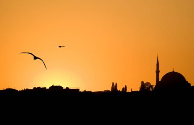 Istanbul, camiler ve uçan kuşlar bir gün batımı