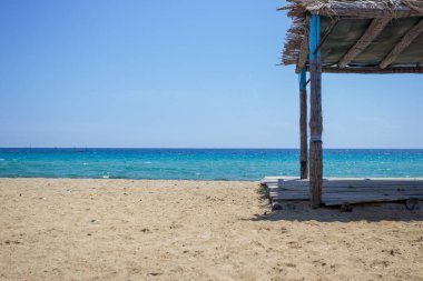 Deniz kıyısındaki gölgeler için sazlığa odaklan. Güneşli, harika bir gün. Arkasında güzel bir deniz ve mavi bir gökyüzü var. Boşluğu Kopyala.