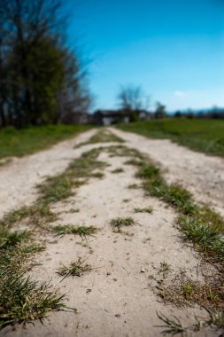 Selective focus on soil and grass located on a dirt road. The road is rural and leads to the village. clipart