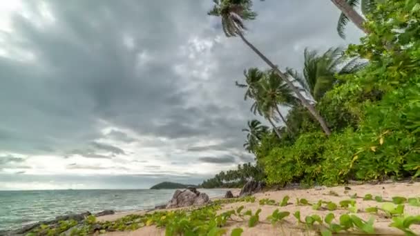 Taling Ngam Beach Samui Adası, Tayland palmiye ağaçlarının üzerinde fırtına bulutları. Timelapse 4k — Stok video