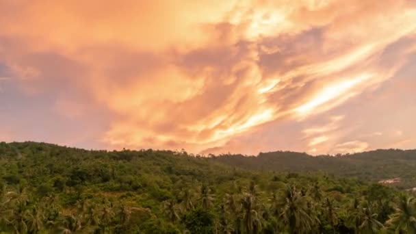 Noite Nuvens sobre selva no pôr do sol em Koh Samui, Tailândia. Prazo de validade 4K — Vídeo de Stock