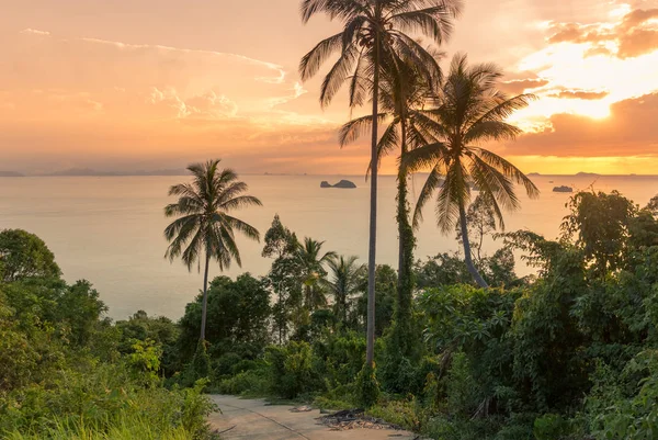 Brillante spiaggia oceanica Colorata alba con palme palme da cocco silhouette palma a Koh Samui, Thailandia — Foto Stock