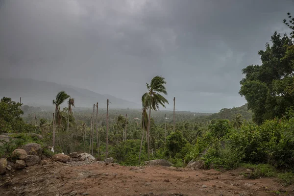 Dramatyczne burzliwy Chmura Niebo nad tropical palms drzew. Burza Pabuk, Tajlandia. — Zdjęcie stockowe