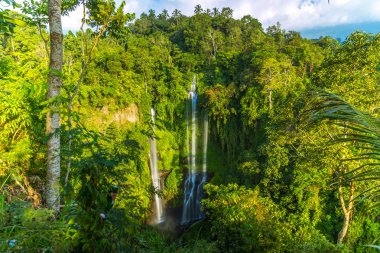 Endonezya 'daki Bali Adası' ndaki Tropikal Sekumpul Şelaleleri