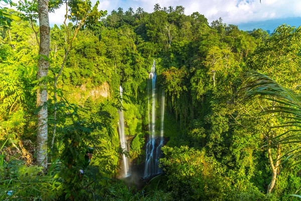 Endonezya 'daki Bali Adası' ndaki Tropikal Sekumpul Şelaleleri