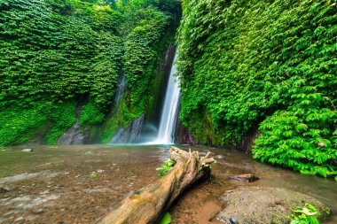Şelale tropik ormanın içinde. Munduk şelale, Bali, Endonezya