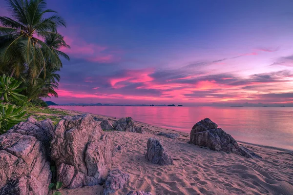 Taling Ngam Beach, Koh Samui Adası, Tayland palmiye ağaçları ile pembe günbatımı, tropikal plaj.