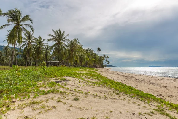 Spiaggia tropicale incontaminata nell'isola di Koh Samui, Thailandia — Foto Stock
