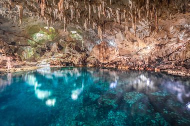 Magic Hinagdanan mağara gölde Panglao Adası Bohol, Filipinler