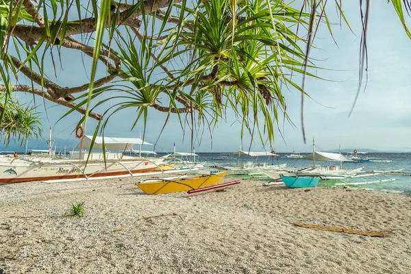 Balicasag Adası, Panglao, Filipinler yakınındaki plaj kıyısında tekneler.