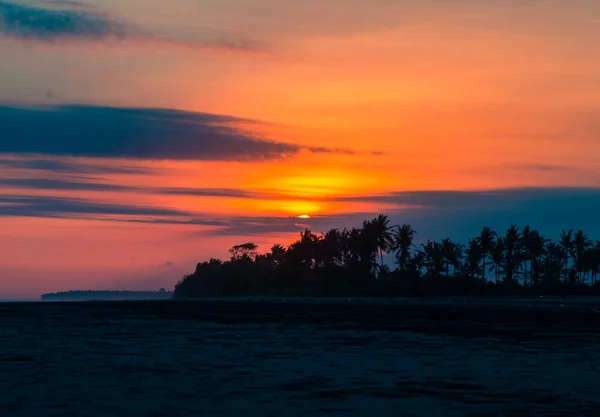 Cocotiers tropicaux sur la plage pendant le coucher du soleil — Photo