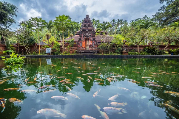 A piscina de fontes sagradas com peixes em Pura Tirta Empul, Bali Indonesia . — Fotografia de Stock