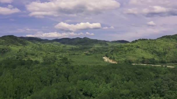 Мангровые леса вдоль горной и извилистой дороги летом на Короне, Бусуанге, Филиппинах. Вид с воздуха 4K — стоковое видео