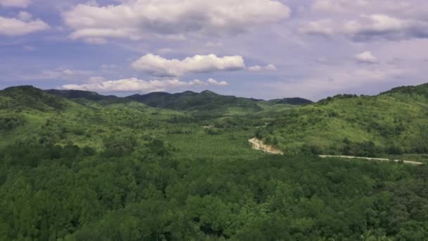 Forêt de mangroves le long de la montagne et route sinueuse en été sur le Coron, Busuanga, Philippines. Vue aérienne 4K 