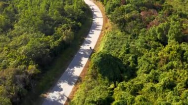 Arka planda arial drone görünümünde yeşil orman tepeleri ile palmiye ormanı ile Tropikal yol