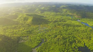 Tropikal ada, beyaz plaj, palmiye ağacı ve turkuaz lagünün havadan görünümü