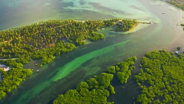 Isla tropical con playa de arena blanca y aguas cristalinas azules y palmeras . — Vídeos de Stock