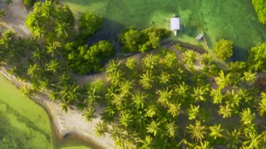 Romantik çift Maldivler sahil hava görünümünde istirahat