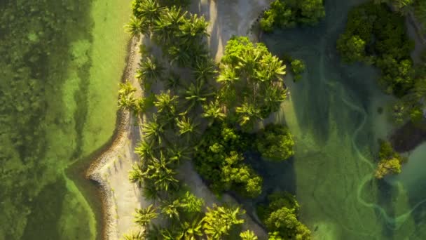 Letecký pohled na modrou tyrkysovou mořskou vodu a na tropické bílé písečné plážové palmy — Stock video