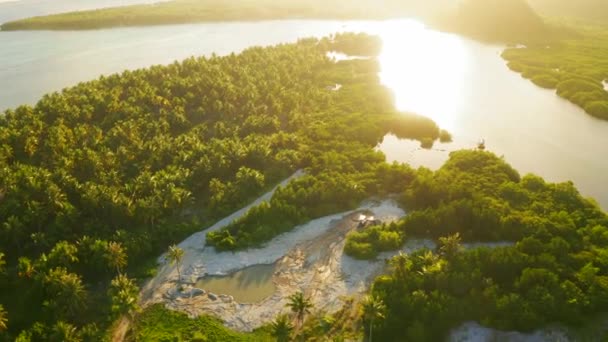 Літній фон з долонями та морем під час заходу сонця — стокове відео