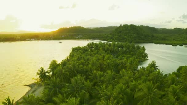 Palmen bomen op het zonnige strand bij zonsondergang tijd luchtfoto — Stockvideo