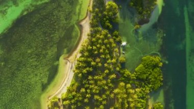 Güzel bir plaj ve tropik ada deniz ve palmiye ağacı ile çevrilidir