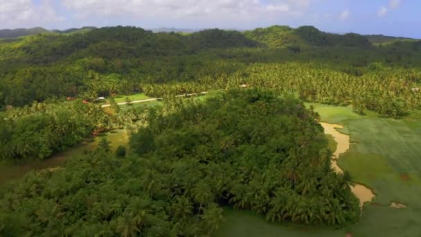 Aerial view of palms forest, road and mountain on the Siargao island, Philippines. — Stock Video